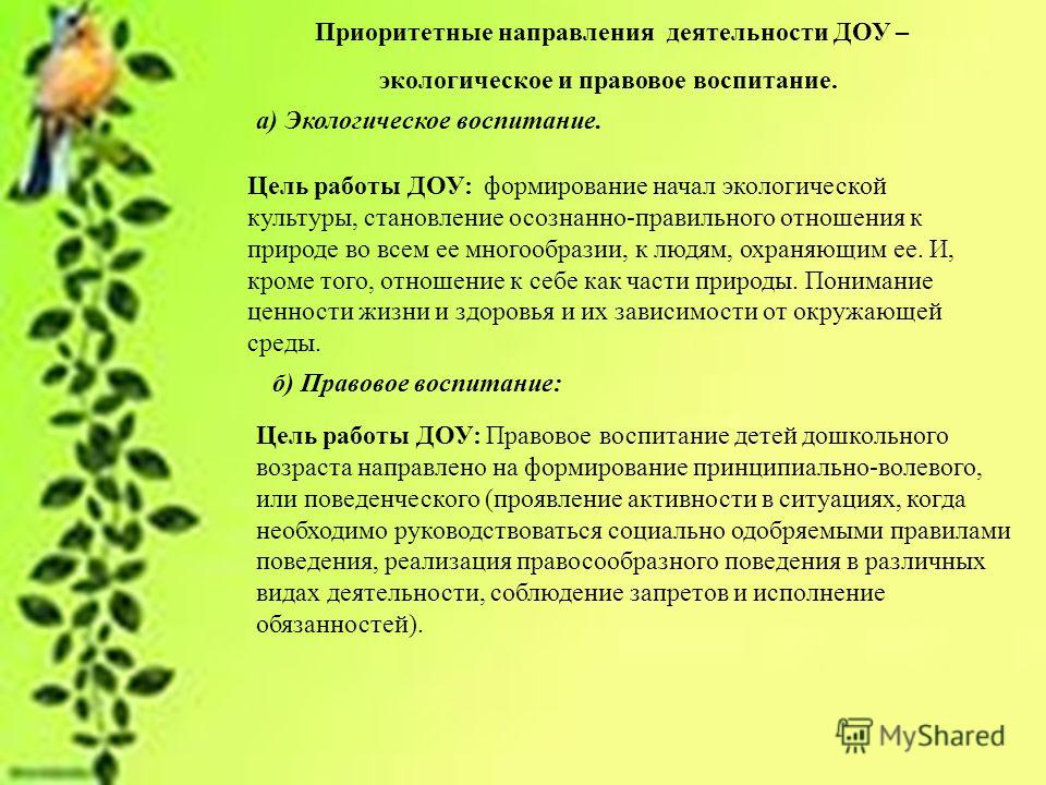 План работы в старшей группе по экологическому воспитанию по