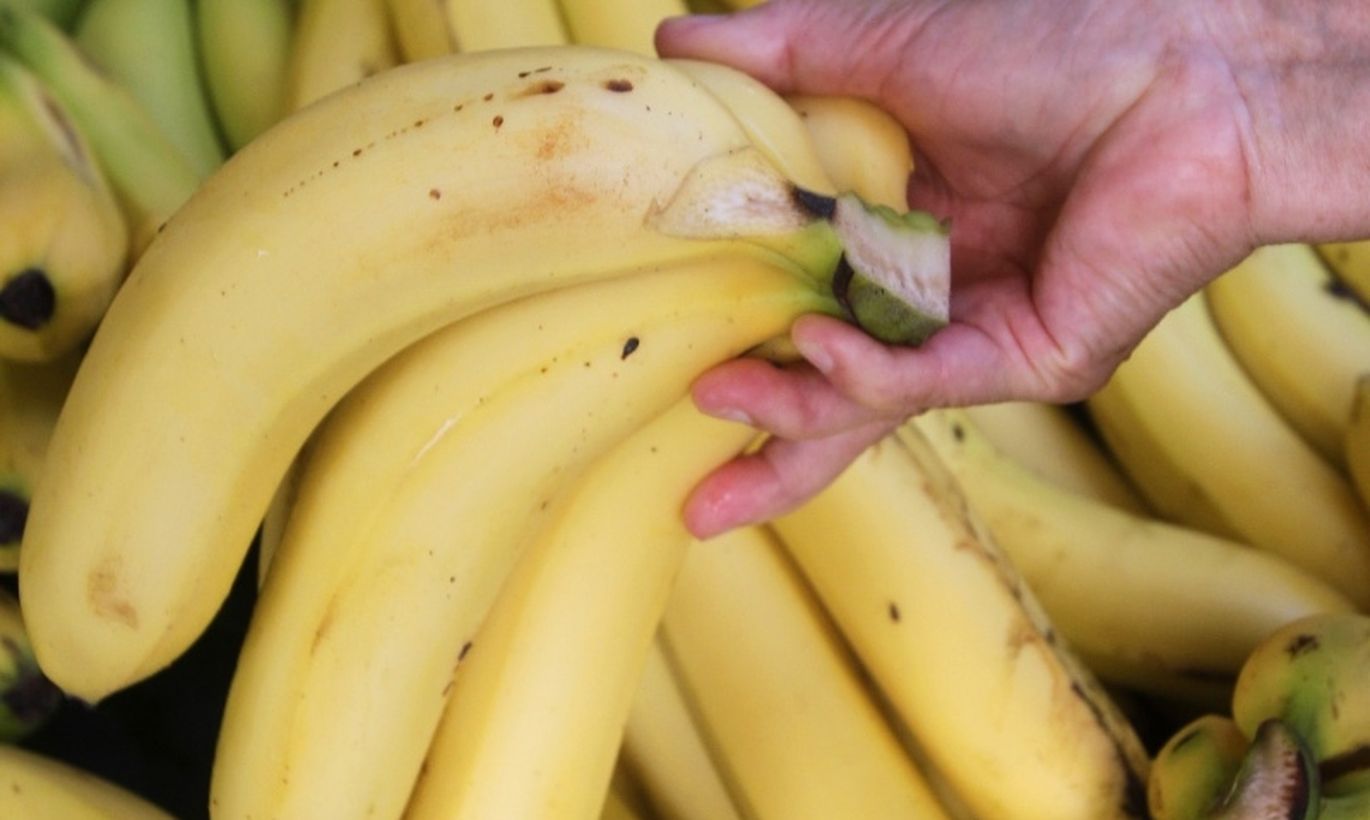 Бананы какой зрелости запрещено выставлять. Спелость бананов по цвету. Степень зрелости банана. Почерневший банан. Переспелый банан.