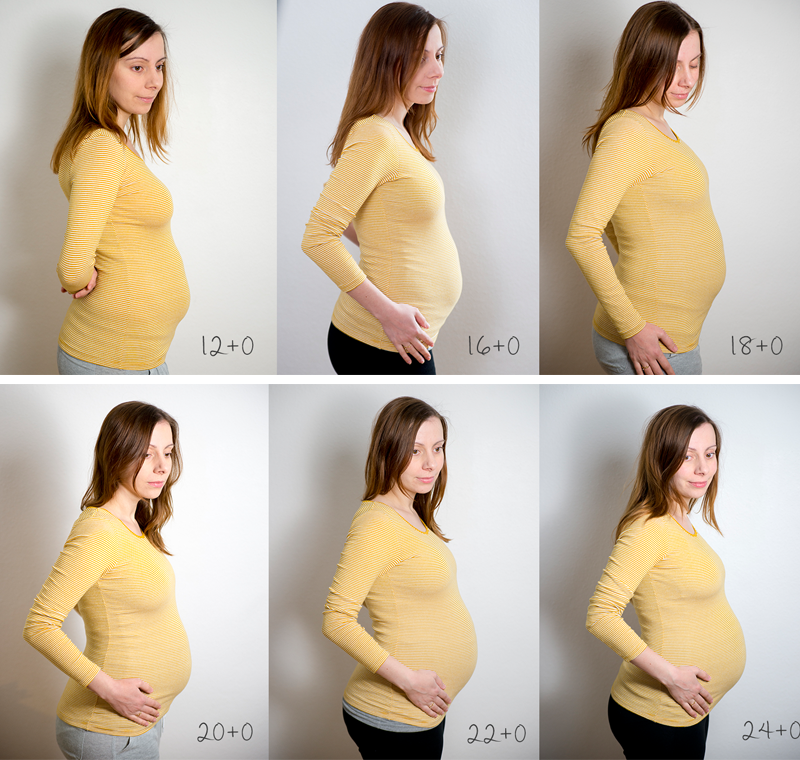 На каких сроках появляется живот у беременных